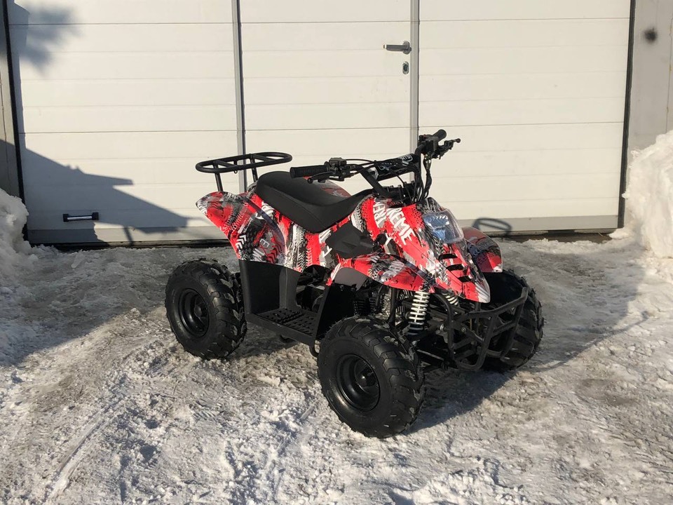 Квадроцикл RAPTOR 110